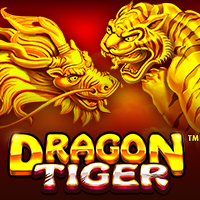 เล่นสล็อตเว็บตรง TheDragonTiger สูตรสล็อตTheDragonTiger